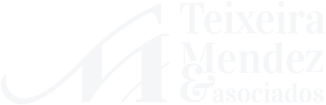 Teixeira Mendez Logo