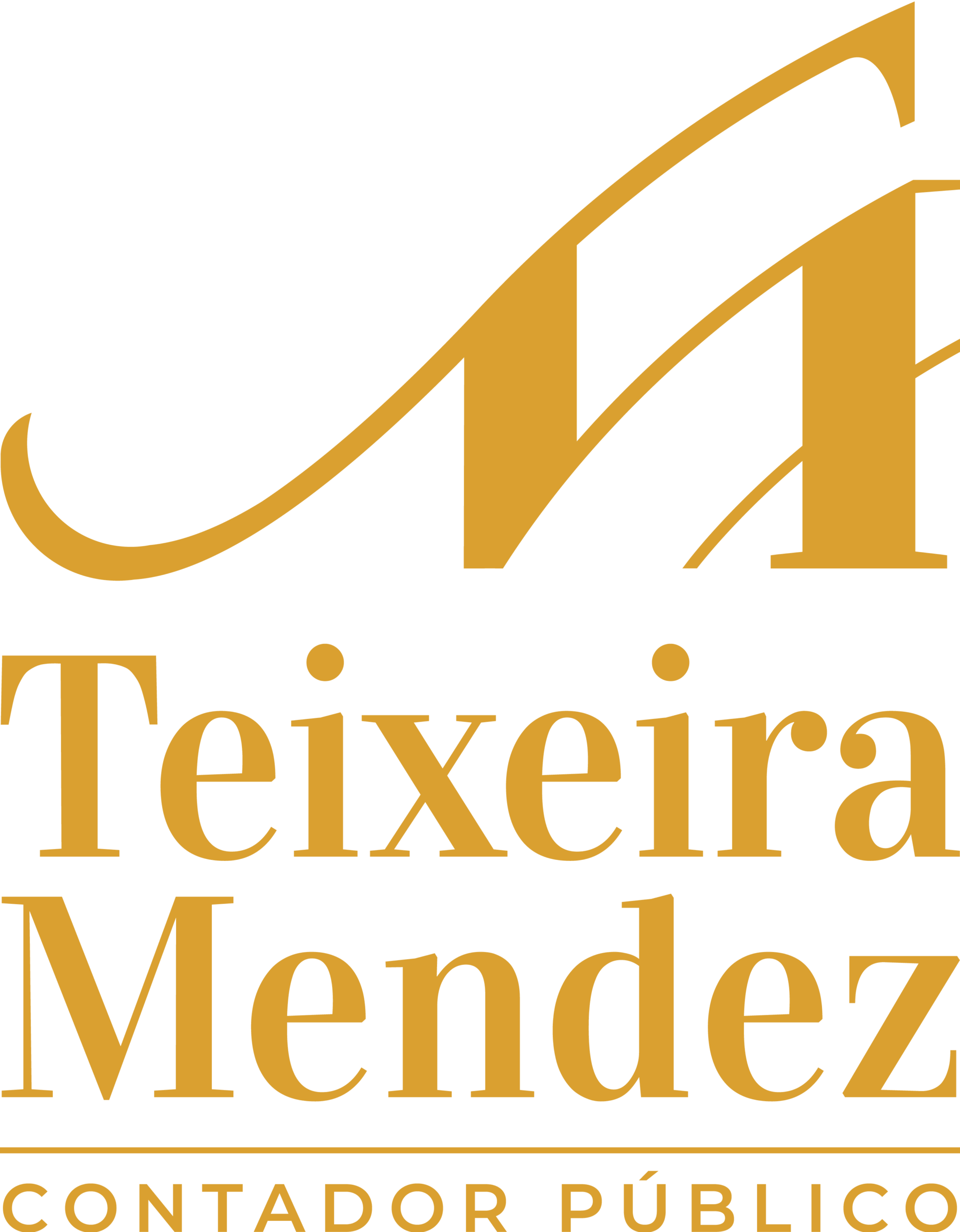 Teixeira Mendez - Contador Público
