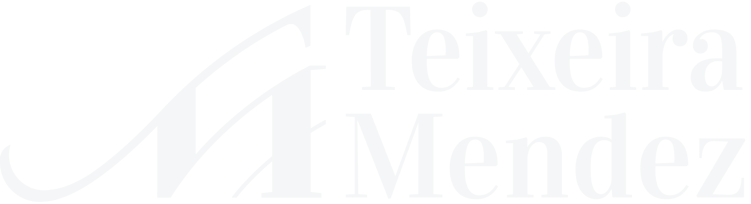 Teixeira Mendez - Contador Publico